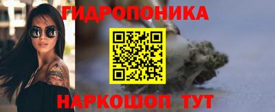 a pvp Дубна
