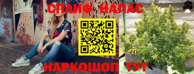 эйфоретик Донецк